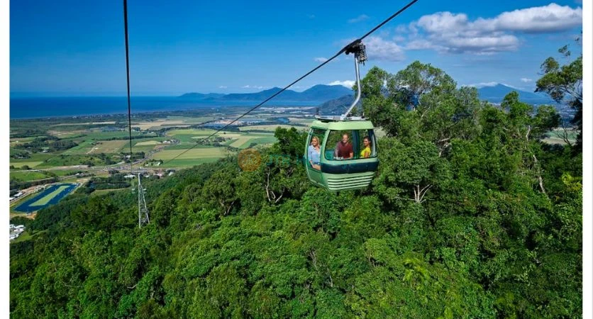 Skyrail Rainforest Cableway