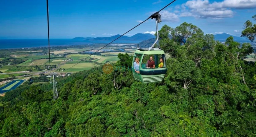 Skyrail Rainforest Cableway - Breathtaking Tropical Rainforest Experience - JTR Holidays