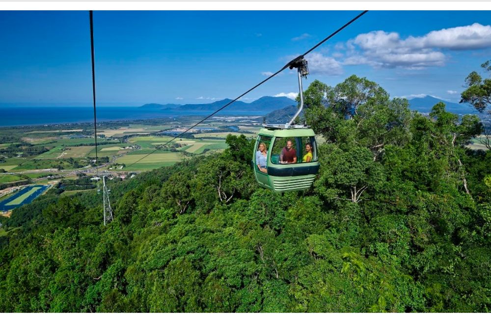 Skyrail Rainforest Cableway - Glide above Australia's World Heritage-listed Tropical Rainforest on the Skyrail Cableway. Enjoy stunning views, scenic stops at Red Peak and Barron Falls, and the option to combine your journey with the Scenic Railway. Perfect for groups, families, or nature lovers. Skyrail Rainforest Cableway - Image 1 of 5