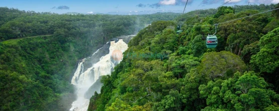 Skyrail Rainforest Cableway - Breathtaking Tropical Rainforest Experience - JTR Holidays