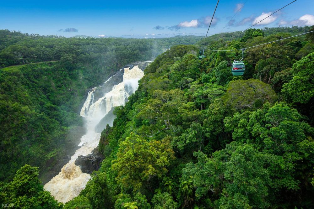 Канатная дорога Skyrail Rainforest - Изображение 3 из 5