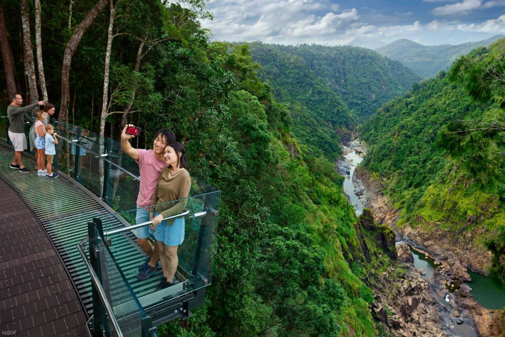 Skyrail Rainforest Cableway - Image 4 of 5