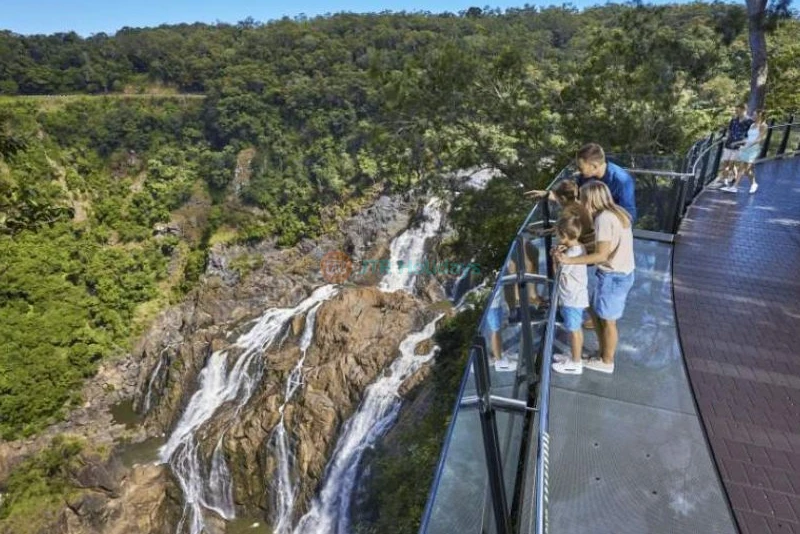 Skyrail Rainforest Cableway - Breathtaking Tropical Rainforest Experience - JTR Holidays