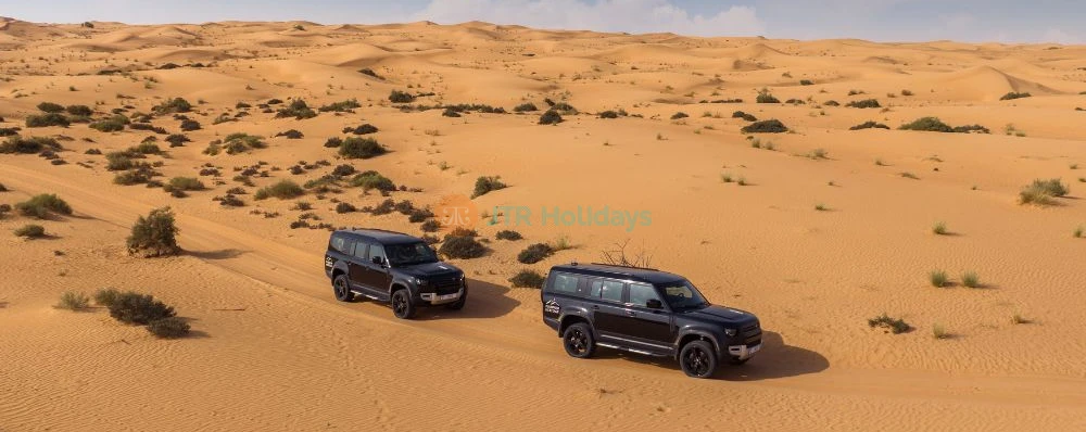 Experiencia Emblemática en Globo Aerostático en Dubái - Imagen 3 de 5