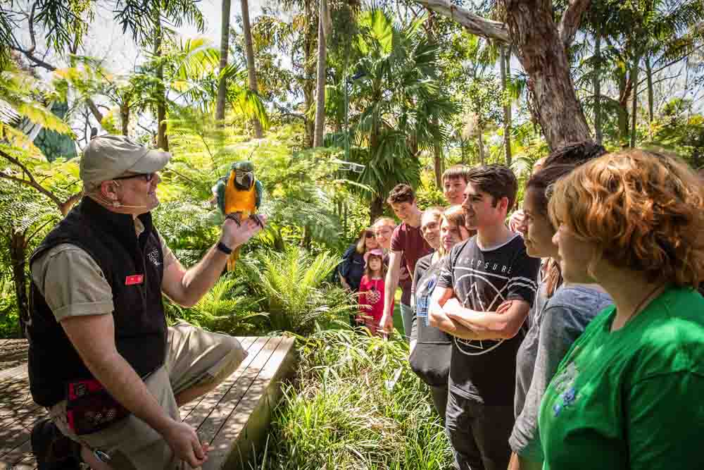 Adelaide Zoo Ticket - Visit Adelaide Zoo, home to over 1,800 animals and 250 species from around the globe! Located in the heart of Adelaide, this vibrant sanctuary offers unforgettable experiences, including daily animal talks and interactive exhibits. Explore lush gardens, meet the only giant pandas in Australasia, and enjoy a family-friendly day of adventure. Discover the wonders of wildlife while contributing to global conservation efforts! Adelaide Zoo Ticket - Image 3 of 5
