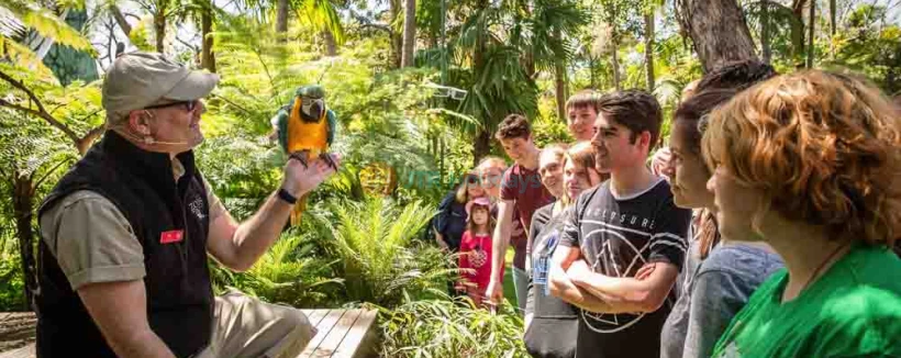 Adelaide Zoo Ticket - Visit Adelaide Zoo, home to over 1,800 animals and 250 species from around the globe! Located in the heart of Adelaide, this vibrant sanctuary offers unforgettable experiences, including daily animal talks and interactive exhibits. Explore lush gardens, meet the only giant pandas in Australasia, and enjoy a family-friendly day of adventure. Discover the wonders of wildlife while contributing to global conservation efforts! Adelaide Zoo Ticket - Image 3 of 5