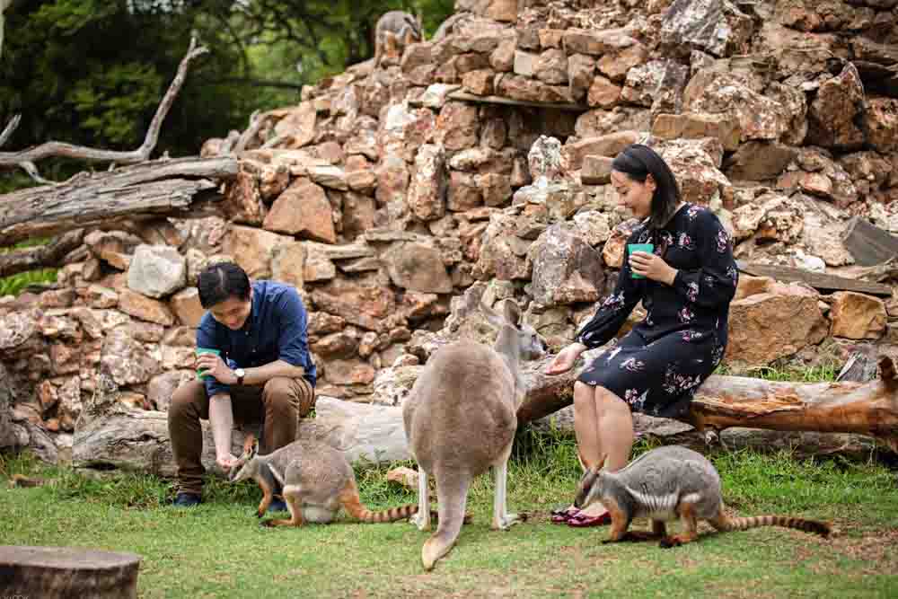 Adelaide Zoo Ticket - Image 6 of 9