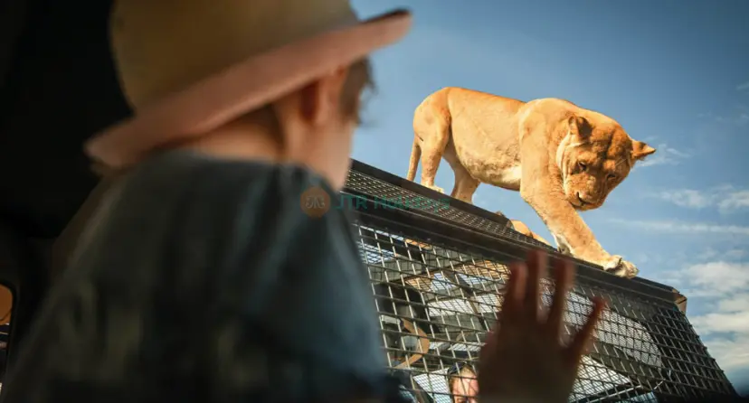 Monarto Safari Park & Lions 360 Experience - Image 1 of 10