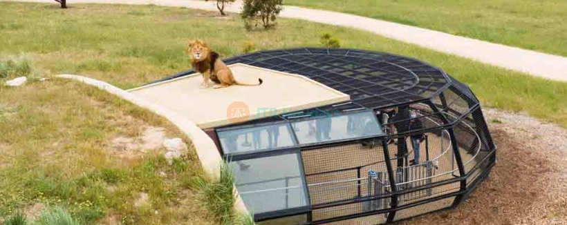 Monarto Safari Park & Lions 360 Experience - Experience the wild like never before at Monarto Safari Park with the thrilling Lions 360 Encounter. Step into Australia’s only 360-degree lion habitat and get up close with one of the country’s largest lion prides. Perfect for families, beginners, and wildlife enthusiasts, this unforgettable adventure is wheelchair and stroller accessible. Book now for a safe, awe-inspiring journey into the heart of nature! Monarto Safari Park & Lions 360 Experience - Image 3 of 5