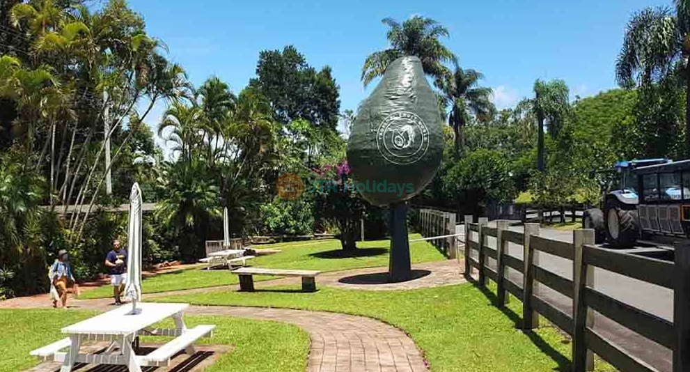 Tropical Fruit World Ticket - Discover Exotic Fruits & Enjoy Farm Tour in Gold Coast - JTR Holidays - Image 1 of 5