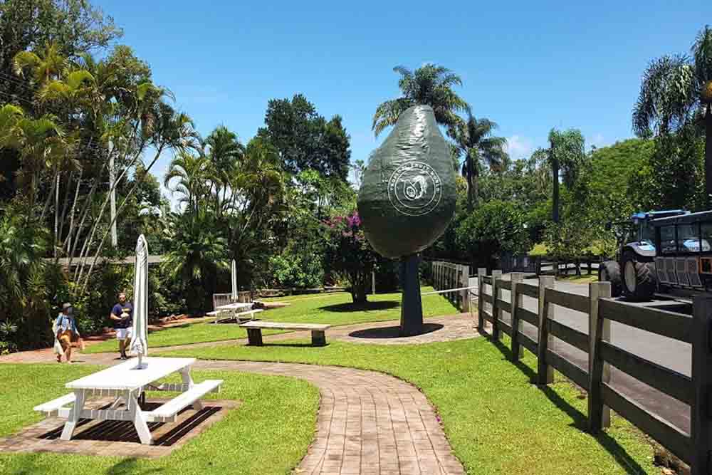 Tropical Fruit World Farm Tour - Gold Coast - Image 1 of 10