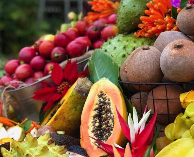 Tropical Fruit World Ticket - Discover Exotic Fruits & Enjoy Farm Tour in Gold Coast - JTR Holidays - Image 2 of 5