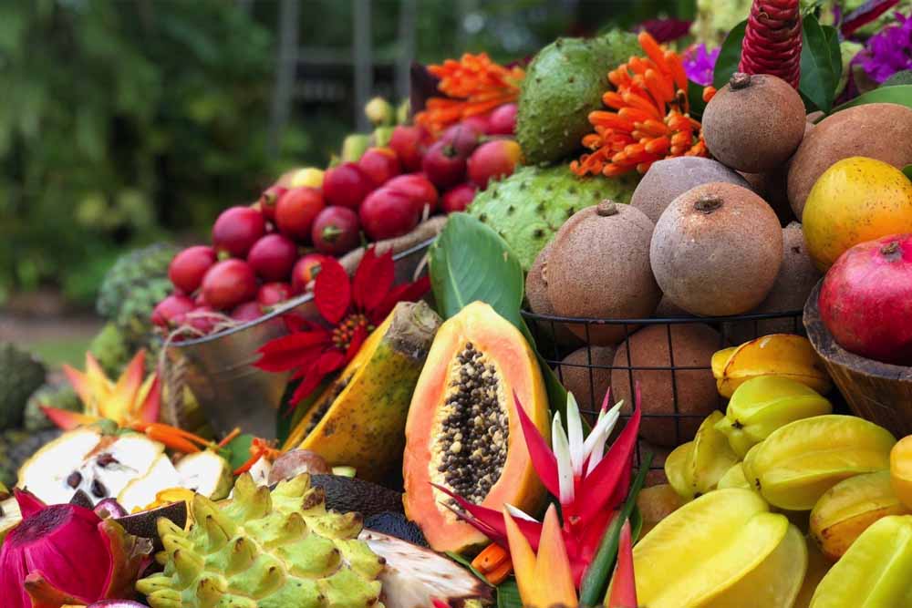 Tropical Fruit World Farm Tour - Gold Coast - Image 2 of 5