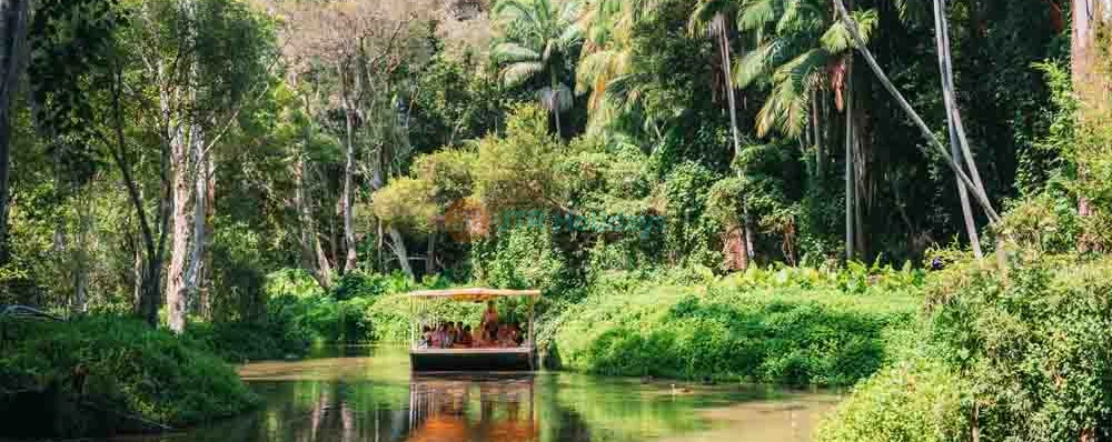 Tropical Fruit World Ticket - Discover Exotic Fruits & Enjoy Farm Tour in Gold Coast - JTR Holidays - Image 3 of 5