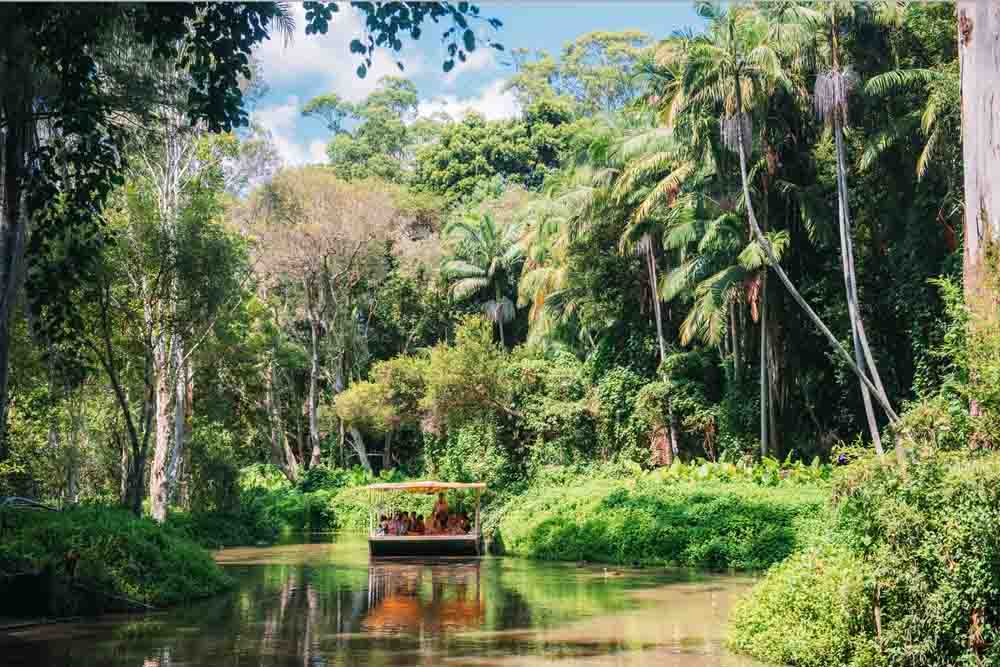 Tropical Fruit World Farm Tour - Gold Coast - Image 3 of 10