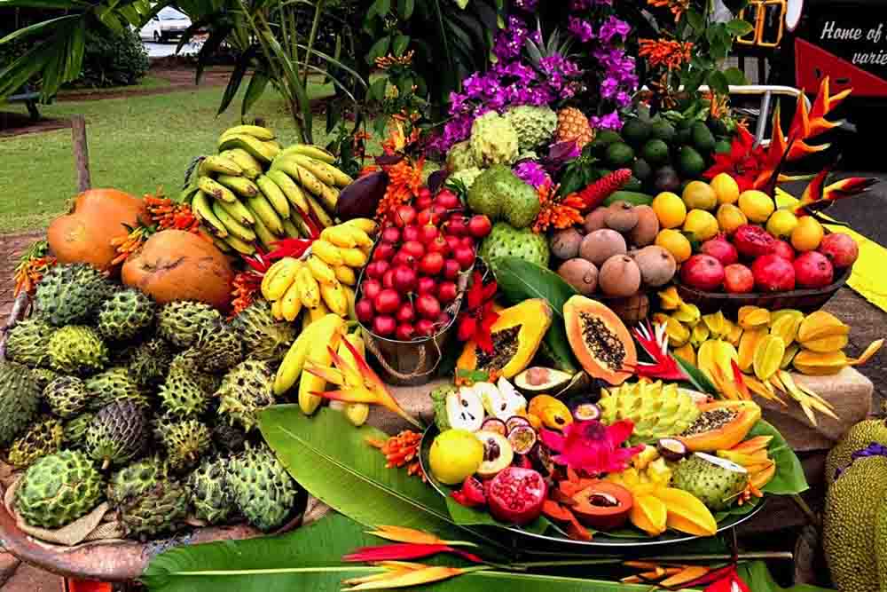 Tropical Fruit World Farm Tour - Gold Coast - Image 5 of 10