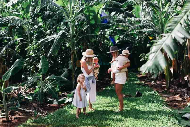 Tropical Fruit World Ticket - Discover Exotic Fruits & Enjoy Farm Tour in Gold Coast - JTR Holidays - Image 6 of 10