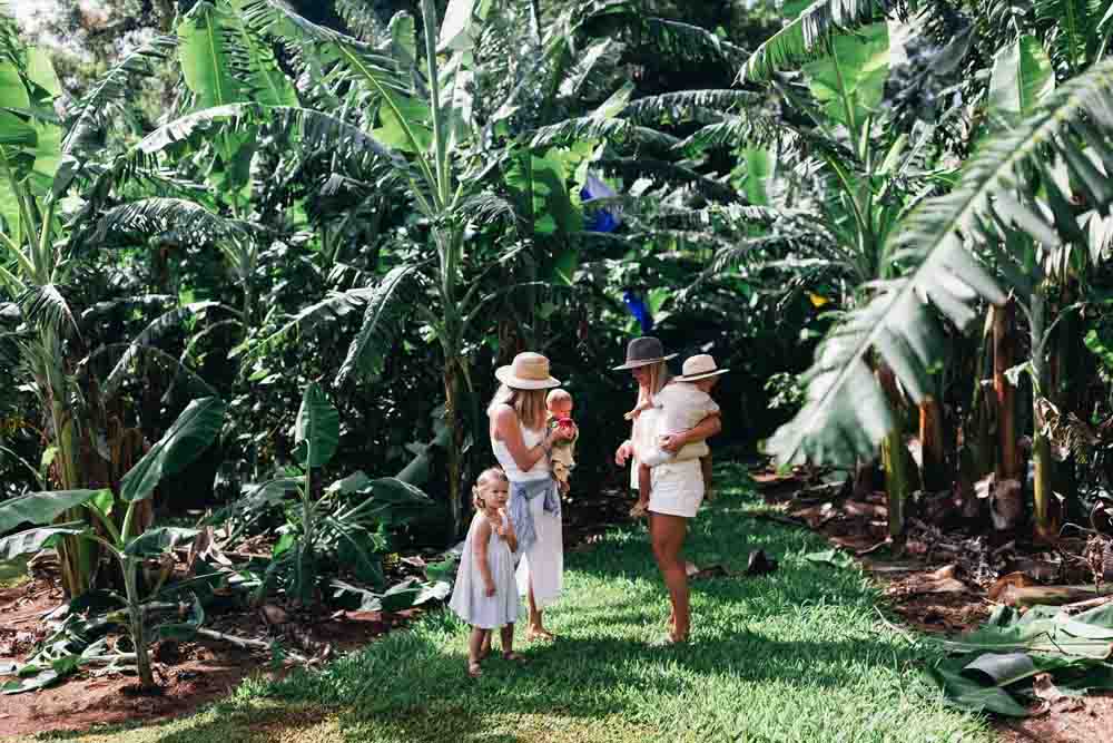 Tropical Fruit World Farm Tour - Gold Coast - Image 6 of 10