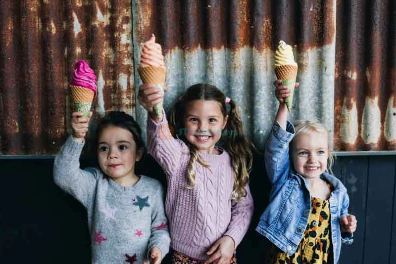 Tropical Fruit World Ticket - Discover Exotic Fruits & Enjoy Farm Tour in Gold Coast - JTR Holidays - Image 8 of 10