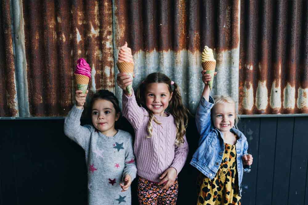 Tropical Fruit World Farm Tour - Gold Coast - Image 8 of 10