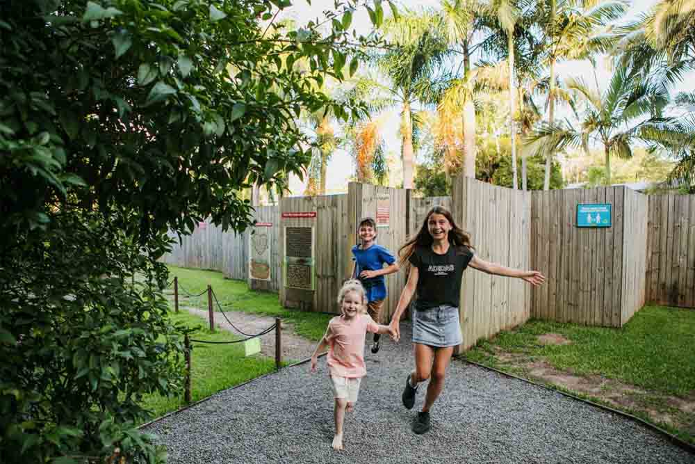 Amaze World Sunshine Coast - Image 4 of 12