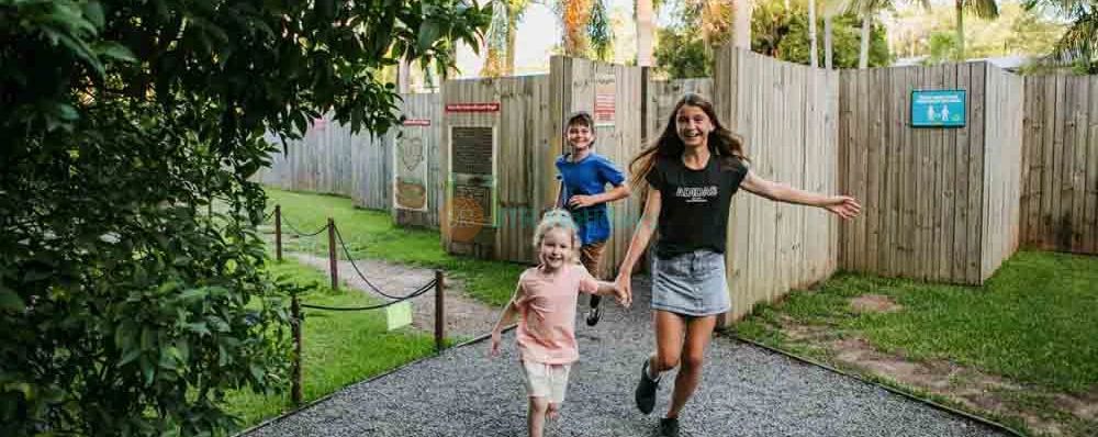 Amaze World Sunshine Coast - Image 4 of 5