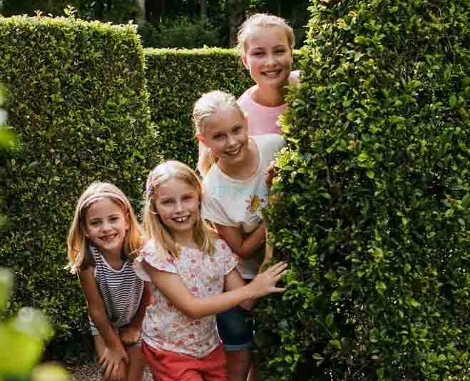 Amaze World Sunshine Coast - Image 5 of 5