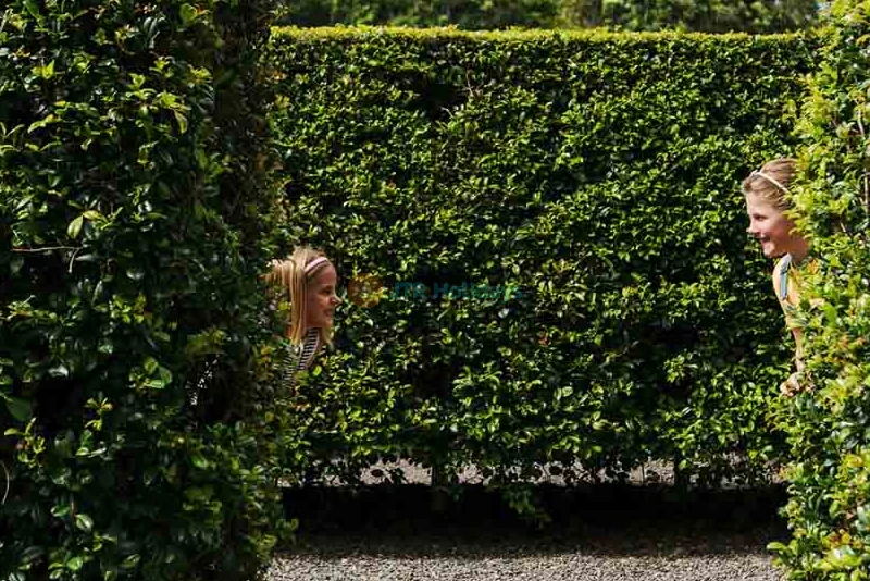 Amaze World Sunshine Coast - Image 6 of 12