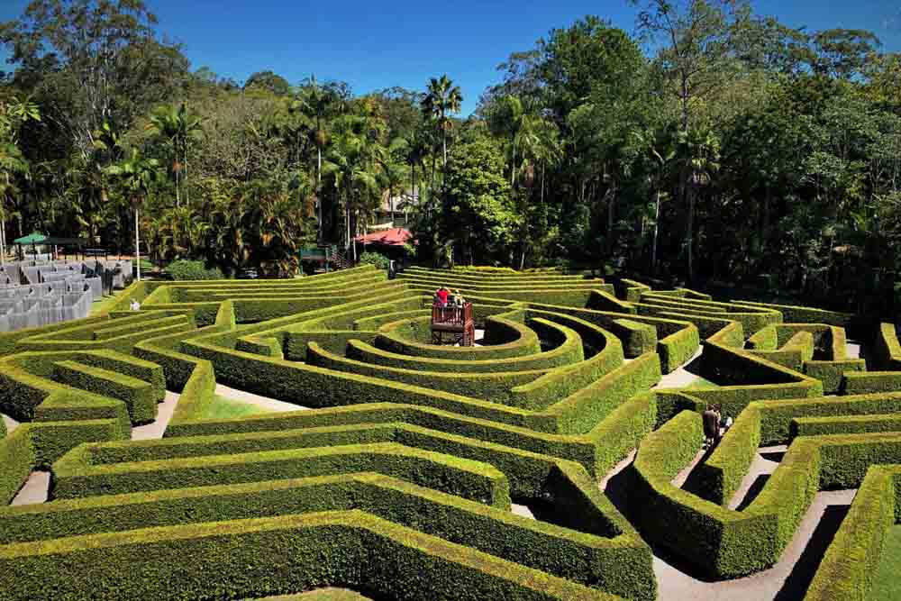 Amaze World Sunshine Coast - Image 8 of 12