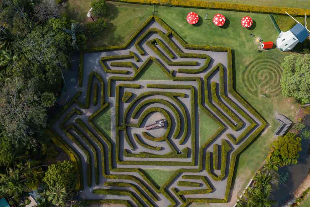 Amaze World Sunshine Coast - Image 12 of 12