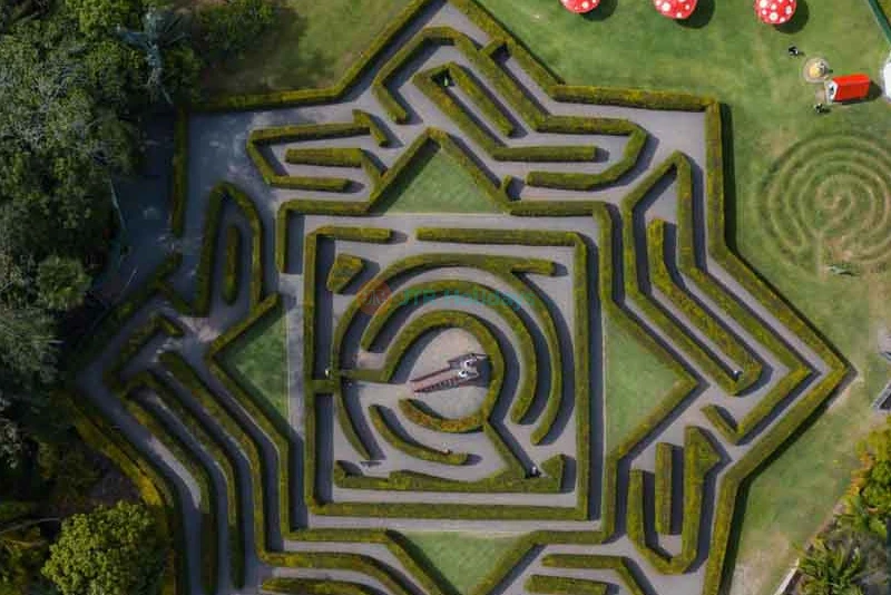 Amaze World Sunshine Coast - Image 12 of 12