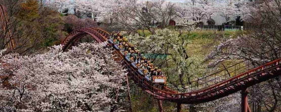 Yomiuriland Amusement Park Tokyo Ticket : Thrilling Rides & Attractions - JTR Holidays