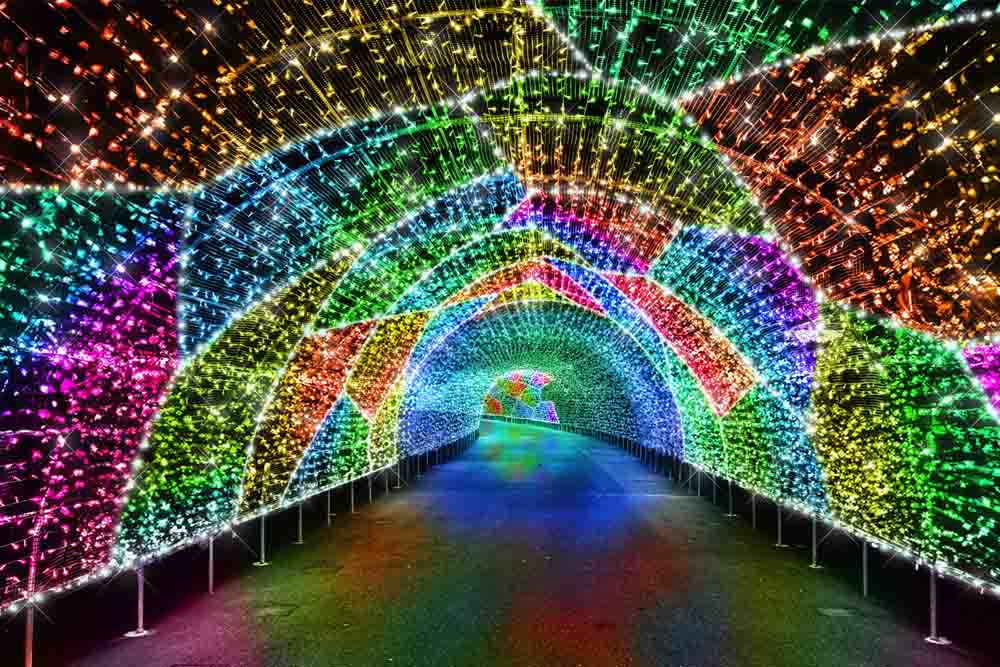 读卖乐园游乐园 - 东京 - Image 5 of 11