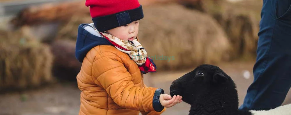 Parque Temático Gumbuya World - Image 3 of 14