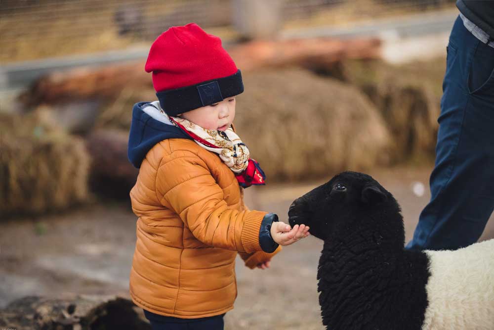 Gumbuya World Theme Park - Image 3 of 5