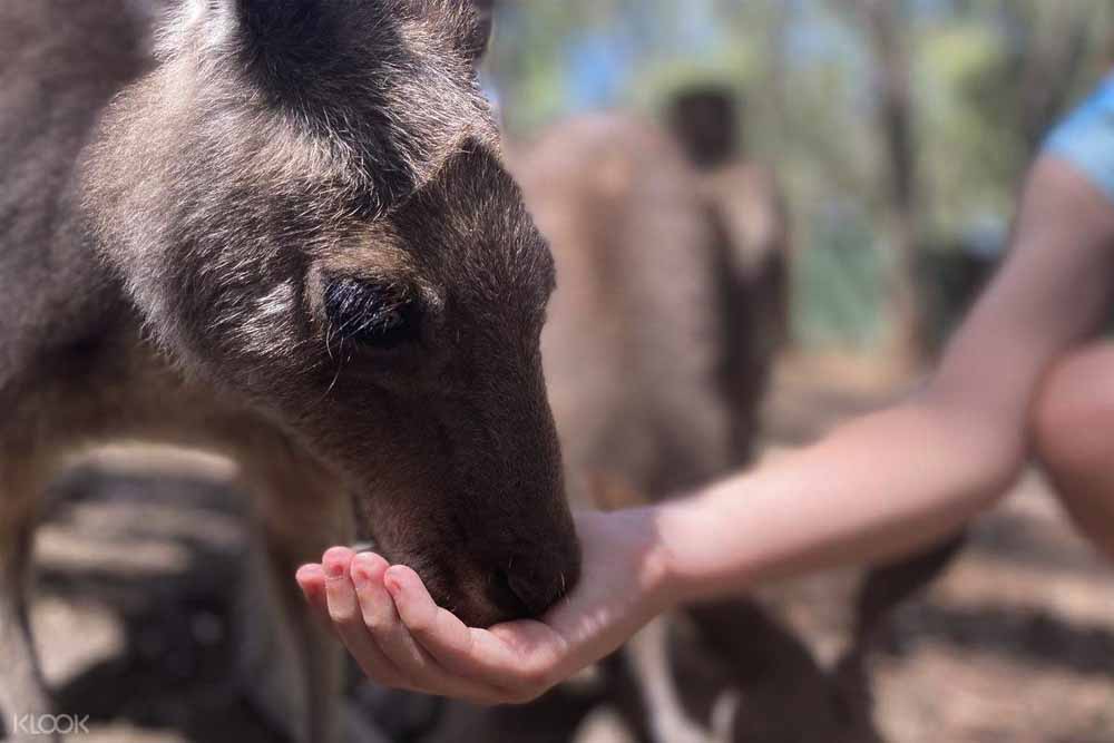 Gumbuya World Theme Park - Image 10 of 14