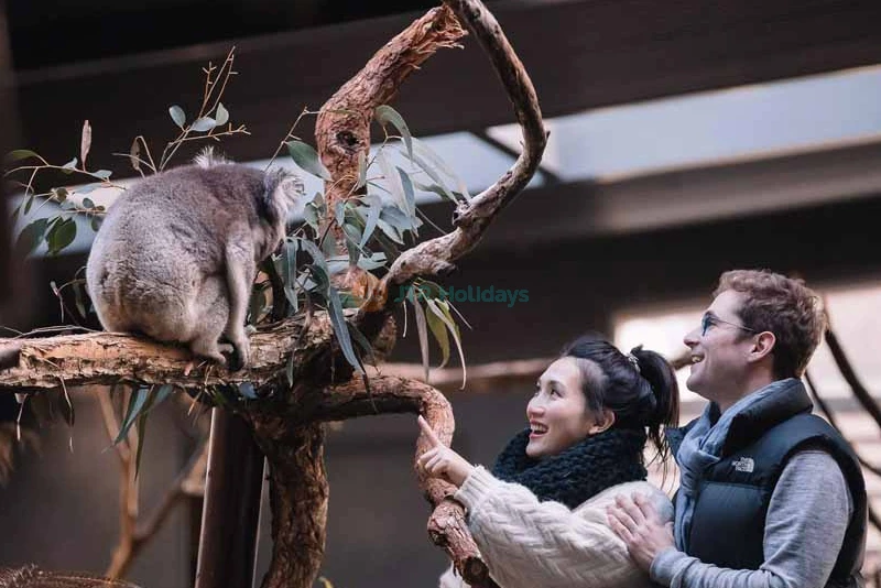 Gumbuya World Theme Park Ticket Melbourne’s Ultimate Family Adventure - JTR Holidays - Image 12 of 14