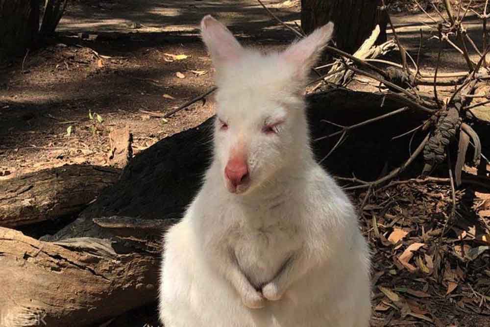 Gumbuya World Theme Park - Image 14 of 14