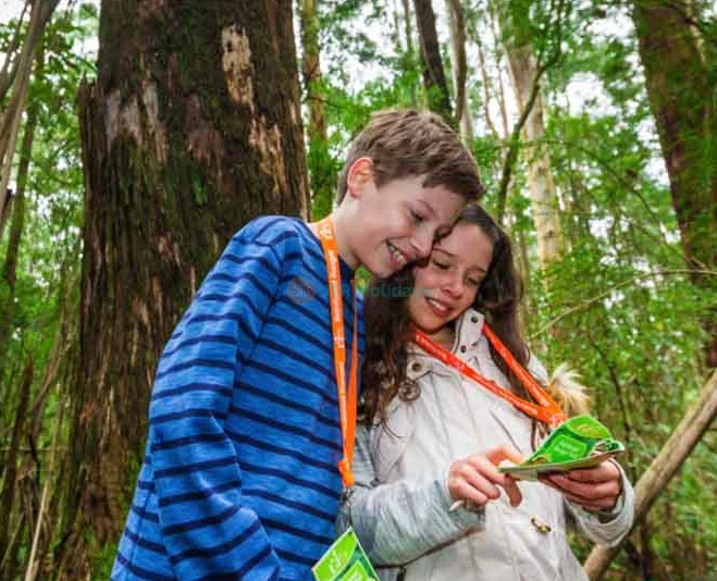Otway Fly Treetop Adventures - Melbourne - Image 2 of 5