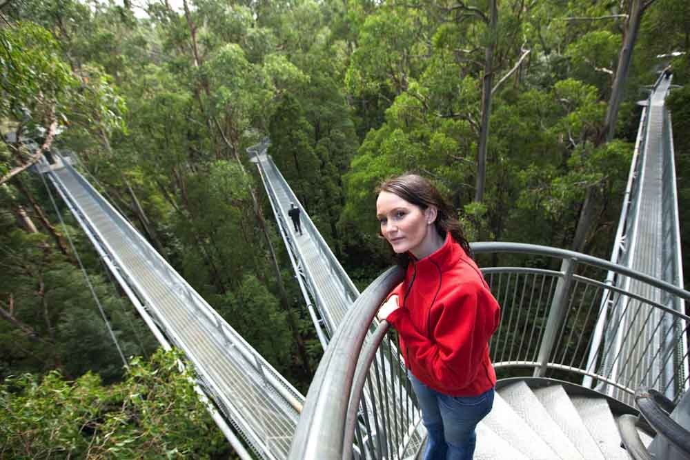Otway Fly Treetop Adventures - Melbourne - Image 3 of 5