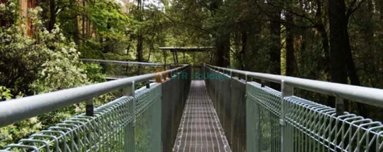 Otway Fly Treetop Adventures | Rainforest Canopy Walk & Zipline Ticket - JTR Holidays