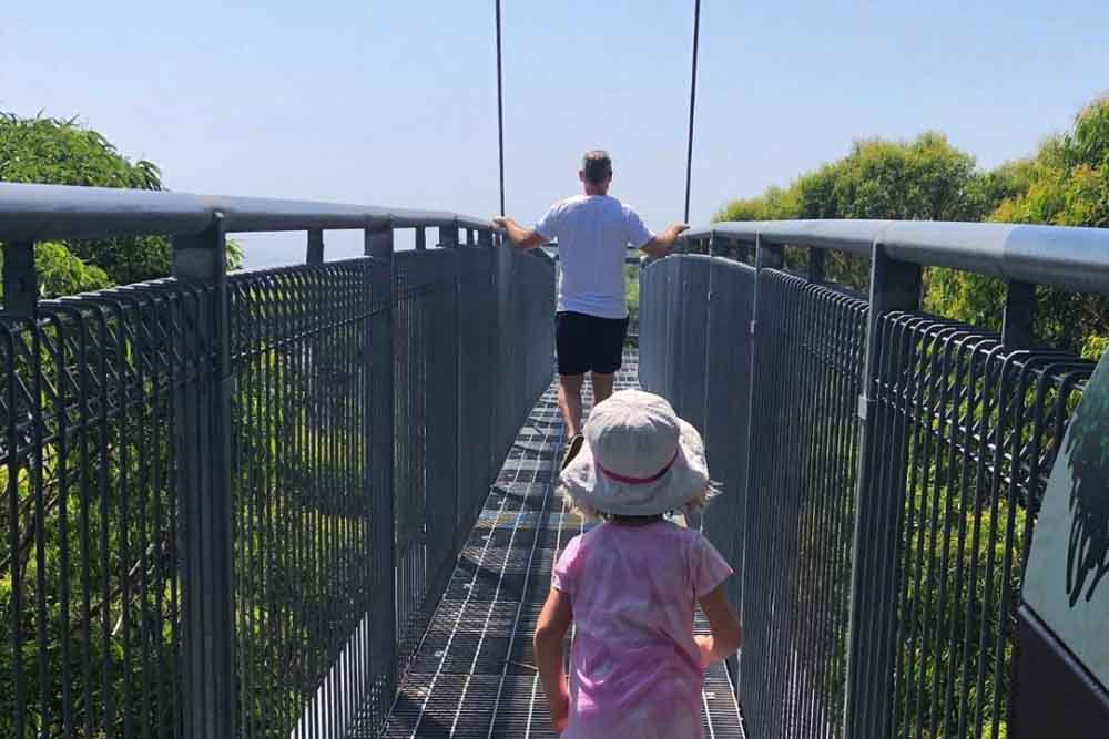 Otway Fly Treetop Adventures - Melbourne - Image 5 of 11