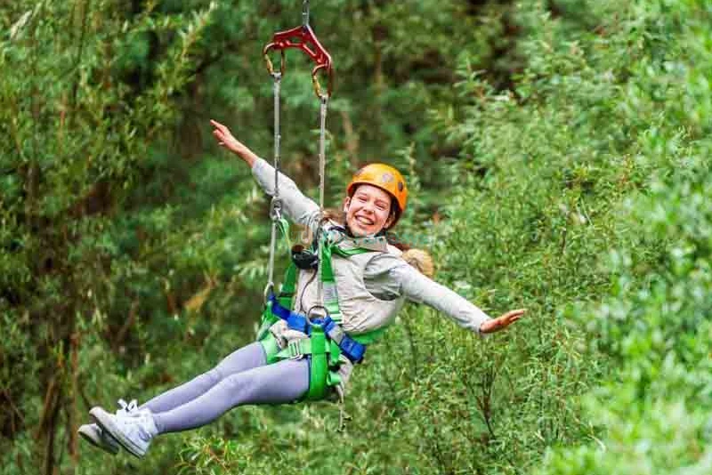 Otway Fly Treetop Adventures - Melbourne - Image 8 of 11