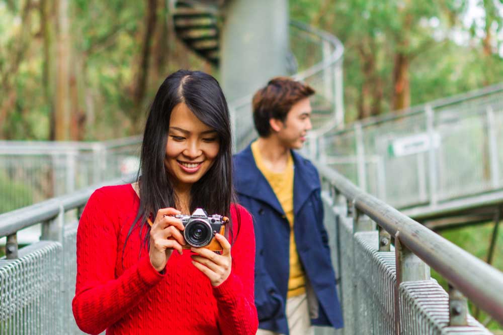 Otway Fly Treetop Adventures - Melbourne - Image 10 of 11