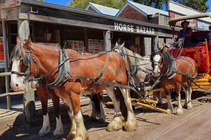 Sovereign Hill Tickets - Discover Melbourne’s Gold Rush Era - JTR Holidays