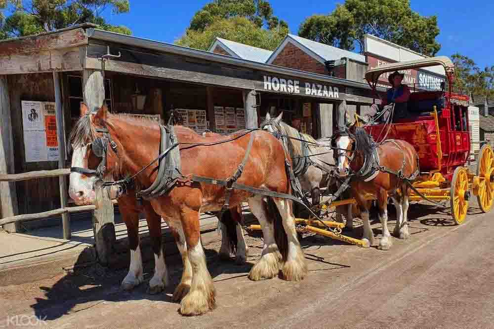 Sovereign Hill Ticket - Melbourne - Image 8 of 13