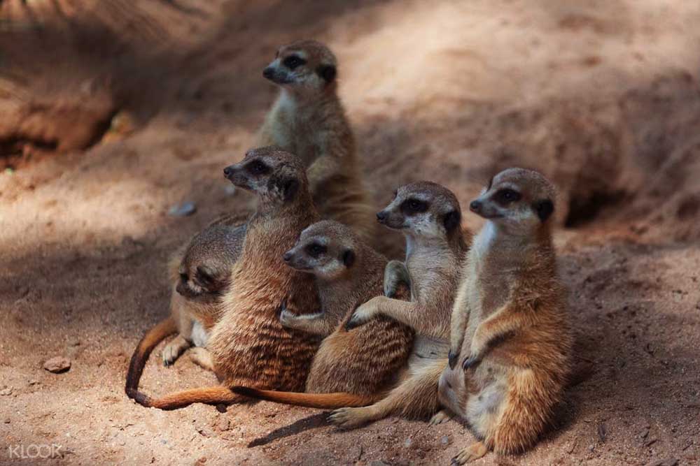 Barcelona Zoo - Image 3 of 11