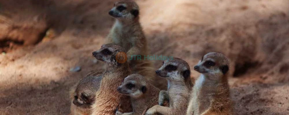 Barcelona Zoo Tickets - Discover Wildlife in the Heart of Barcelona - JTR Holidays - Image 3 of 5