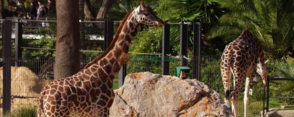 Barcelona Zoo Tickets - Discover Wildlife in the Heart of Barcelona - JTR Holidays - Image 4 of 5
