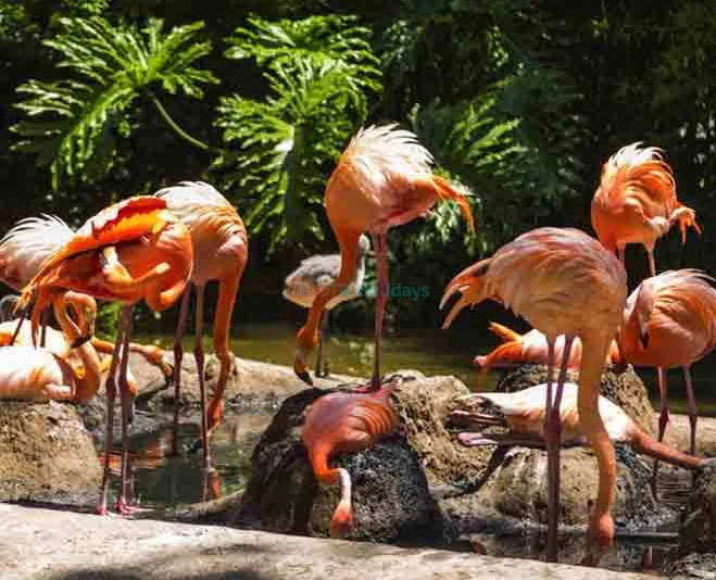 Barcelona Zoo Tickets - Discover Wildlife in the Heart of Barcelona - JTR Holidays - Image 5 of 5